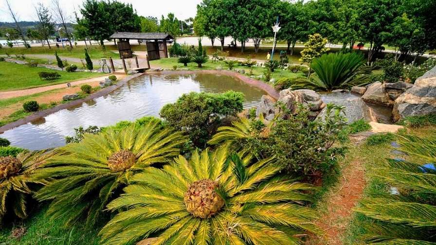 Bate e volta em Jundiaí. Parque da Cidade.